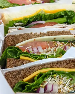 Vegetarian Sandwiches